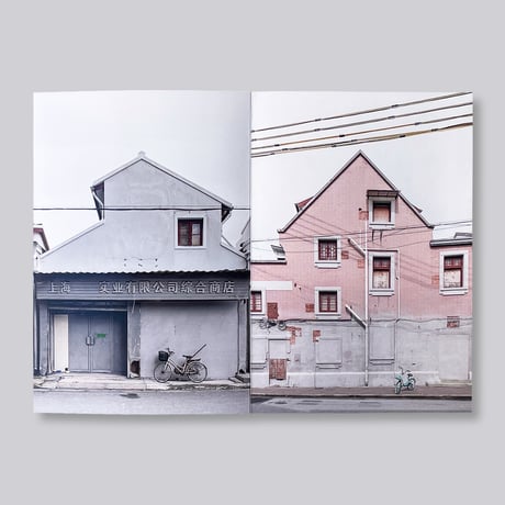 Barbara Rossi / The Grey Catalogue