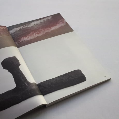 Adam Broomberg & Oliver Chanarin / DODO