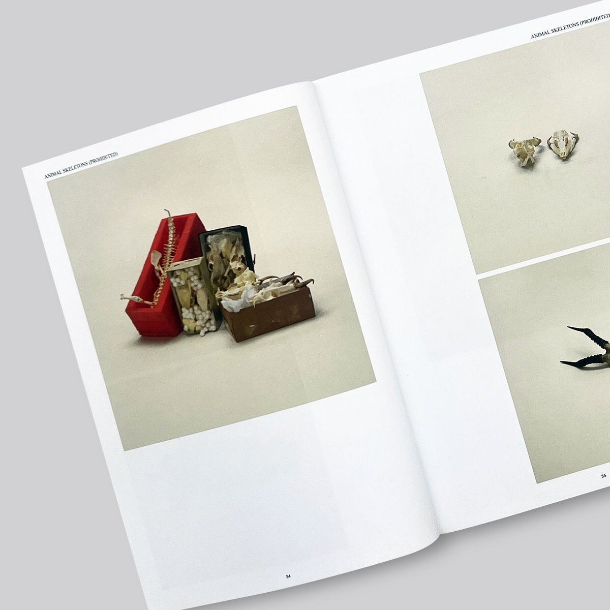 Taryn Simon / Contraband | POST