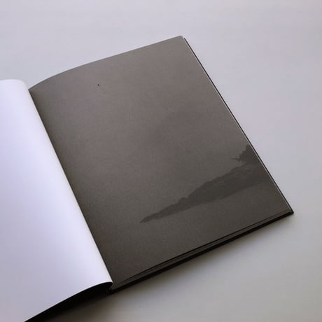 Byung-Hun Min / Des Oiseaux