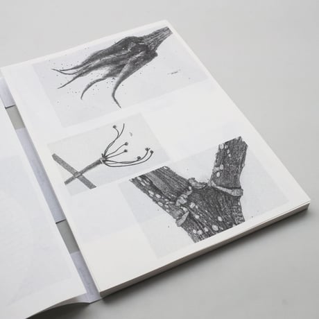 Loh Xiang Yun / Microscopic Images