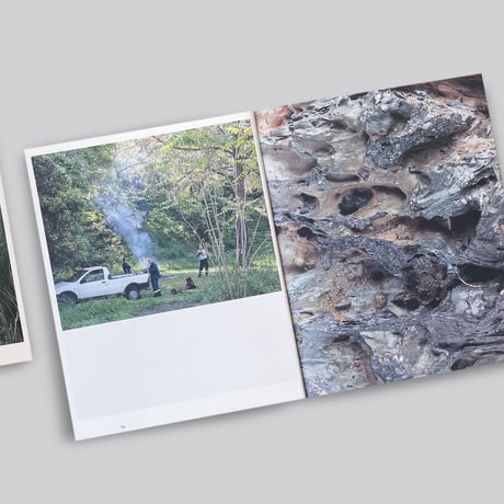Arnout De Cleene / Michiel De Cleene: Amidst the fire, I am not burnt Surface Reading