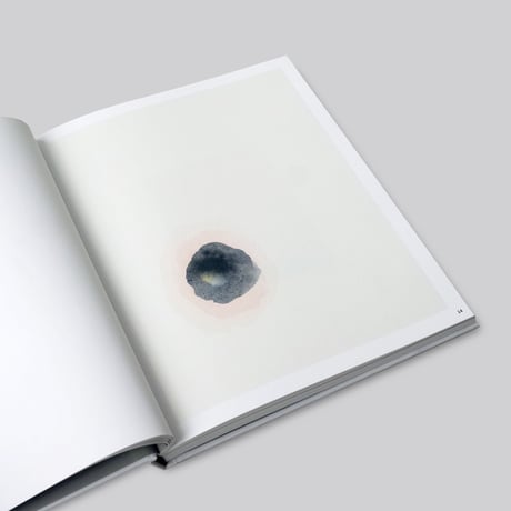 Julius Heinemann / Afterimage