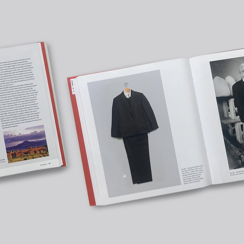 ジョージア・オキーフ Living Modern ジョージア・オキーフ Living Modern Georgia O'Keeffe / Living