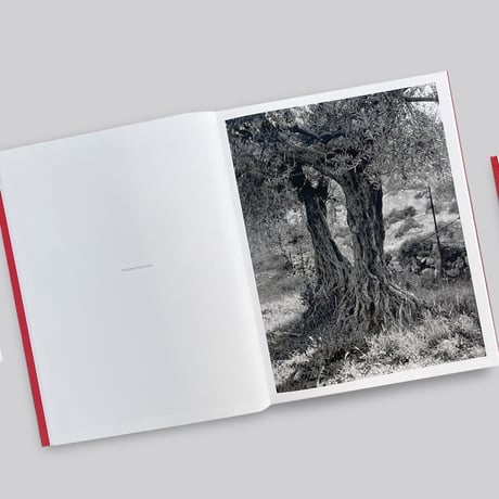 Adam Broomberg, Rafael Gonzalez / Anchor in the Landscape