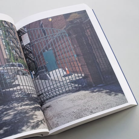 Stanley Greenberg / Springs and Wells, Manhattan and the Bronx