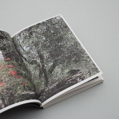 Martino Marangoni / Nonni's Paradiso - An Olive Tree Story