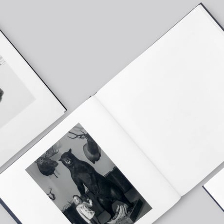 【サイン入り】Alessandra Sanguinetti  / Some Say Ice