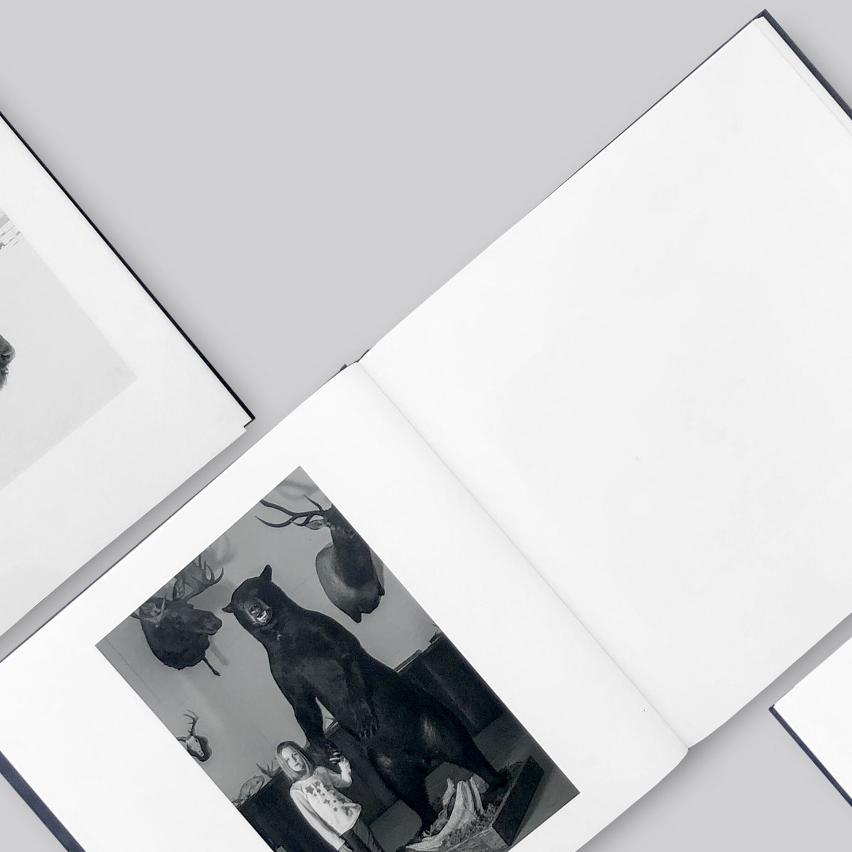 サイン入り】Alessandra Sanguinetti / Some Say Ice |