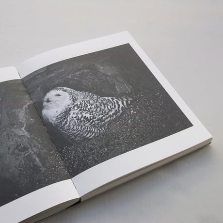 Sofia Borges / THE SWAMP