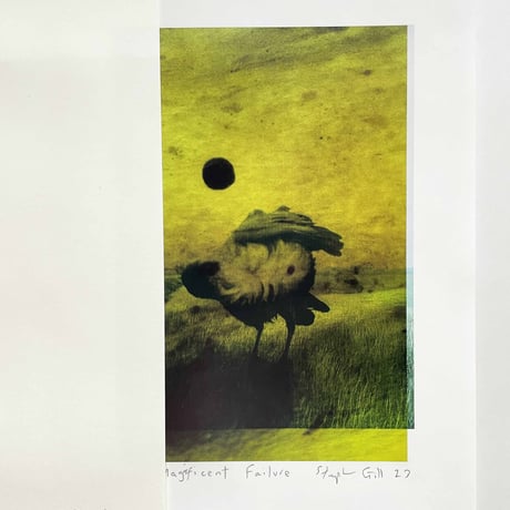 Stephen Gill / Magnificent Failure Print Edition