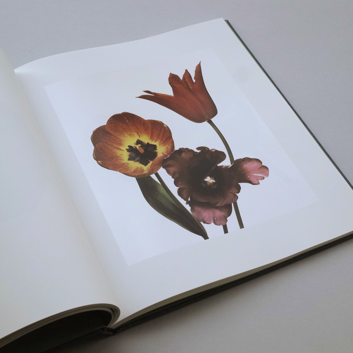 Irving Penn「FLOWERS 」アーヴィング・ペン FLOWERS】Irving Penn 花の写真集 アーヴィング・ペン 洋書