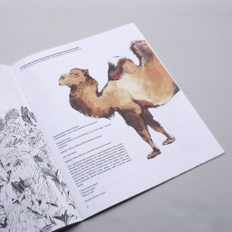 Niekolaas Johannes Lekkerkerk / Bestiary of Corona Animals