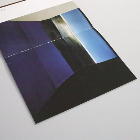Jan Adriaans / Garage