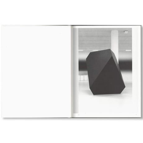 Carsten Nicolai / Parallax Symmetry