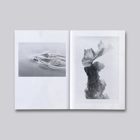 Jochen Lempert / Local Ecology. Kastellorizo