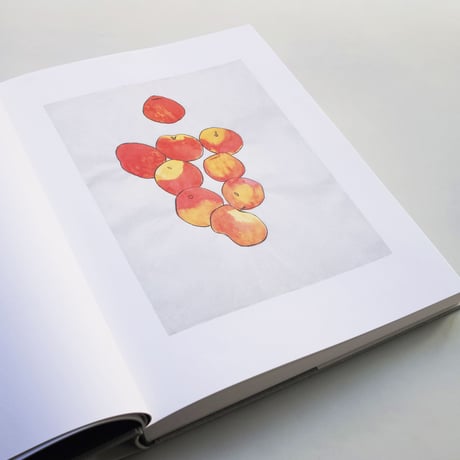 Ellsworth Kelly / Plant Drawings