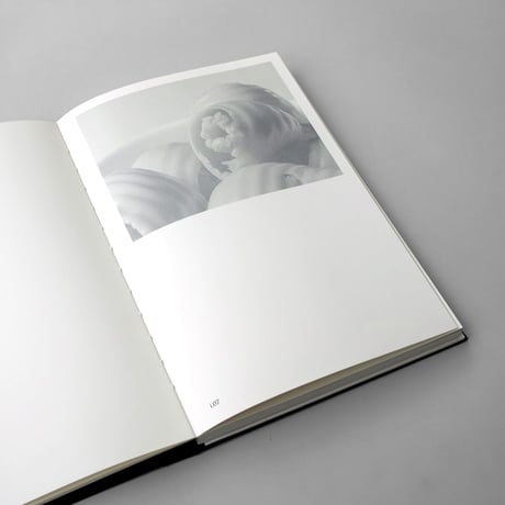 Giorgio di Noto / The Iceberg