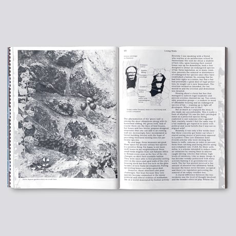 Macguffin 14: The Wall