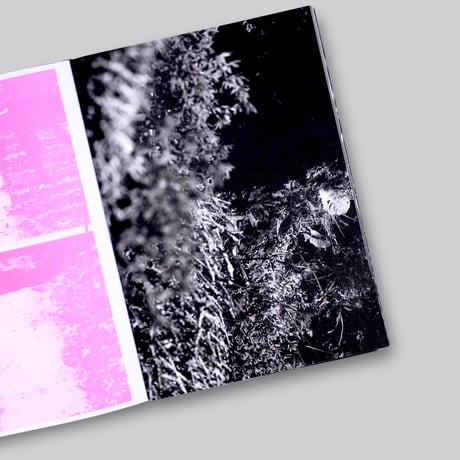 Marijn Bax / ANK - Another Kind of Need