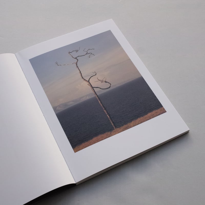 Jamie Hawkesworth & Joan Didion / On Keeping a