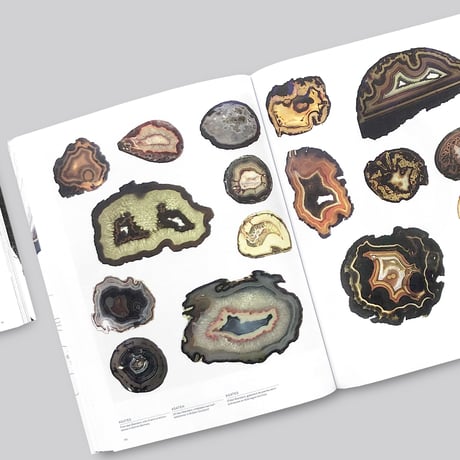 Lizan Freijsen / The Living Surface - An Alternative Biology Book On Stains