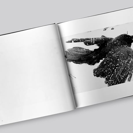 Masahisa Fukase / 鴉 / RAVENS