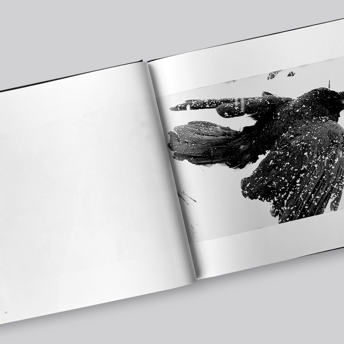 新品 未開封】 深瀬昌久 鴉 Ravens MACK版 深瀬昌久: 鴉/RAVENS