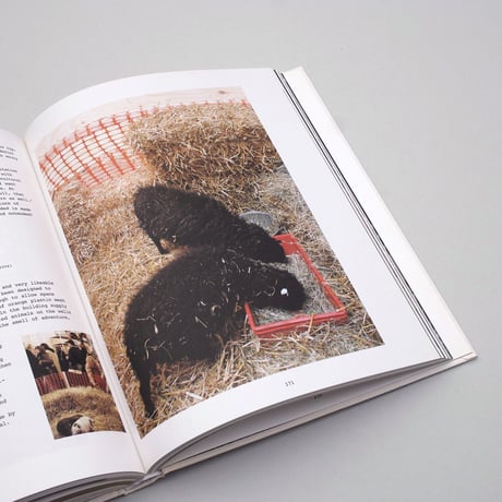 Mike Meiré / The Farm Project
