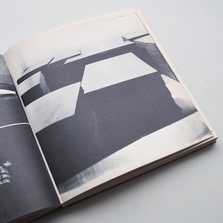 Arte Povera Gabriele Mazzotta Editore