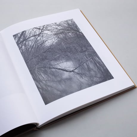 Tim Carpenter / Christmas Day, Bucks Pond Road