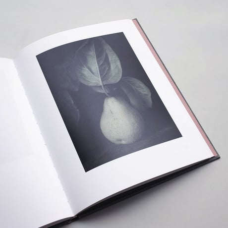 Inger Krauss / 39 Bilder