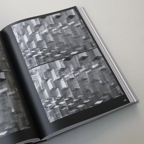 Philippe Decrauzat / Delay