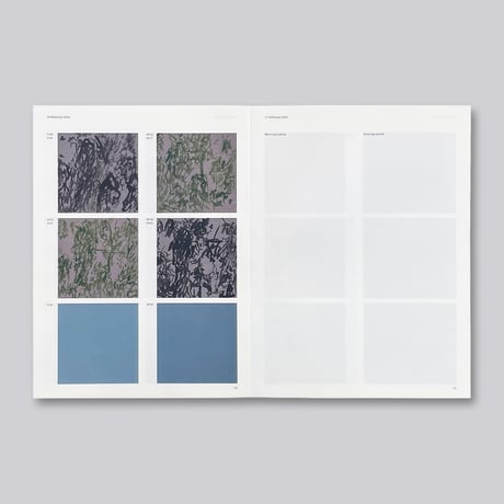 Irene Kopelman / A Matter of Framing. Notes on Representation Vol. 13