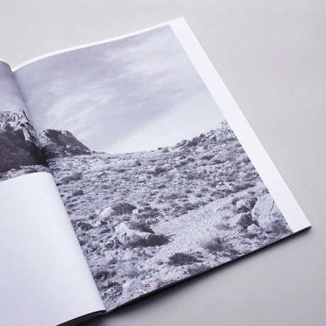 Claudia Den Boer / To Pick Up A Stone