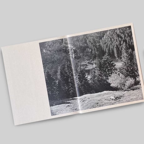 Awoiska Van Der Molen / The Living Mountain