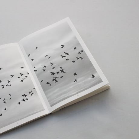 Hans Bol / God's Allies