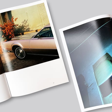 William Eggleston / The Outlands: Selected Works