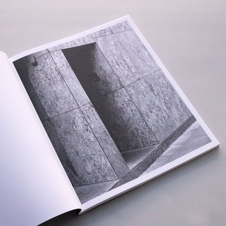 Bertrand Cavalier / Concrete Doesn't Burn