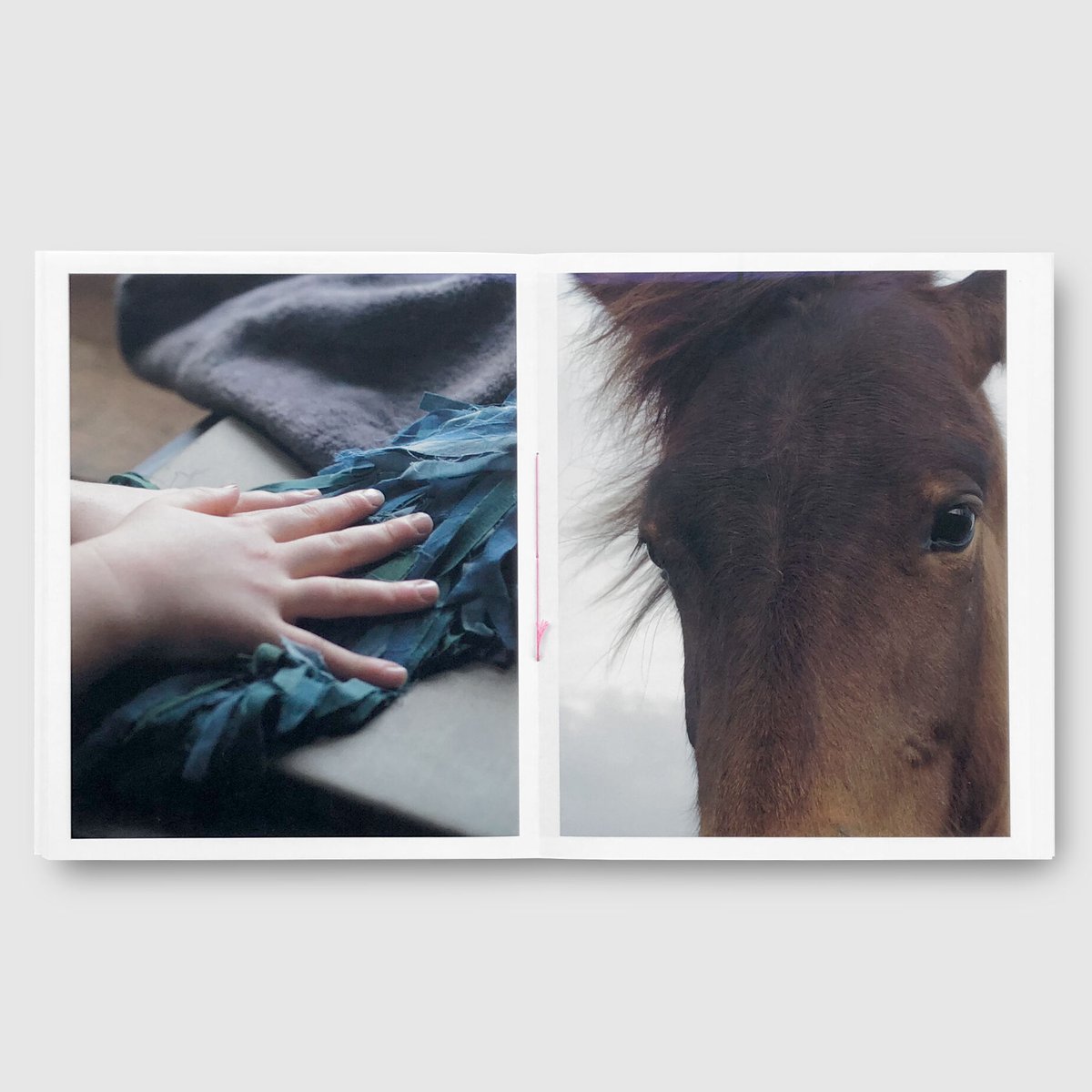 写真集　シャルロット　デュマ　Work Horse Charlotte Dumas: Work Horse
