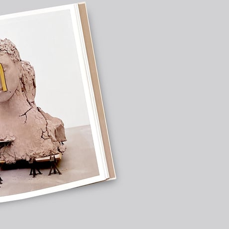 Mark Manders / Zeno X Gallery