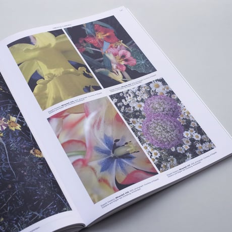 On the Necessity of Gardening - An ABC of Art, Botany and Cultivation