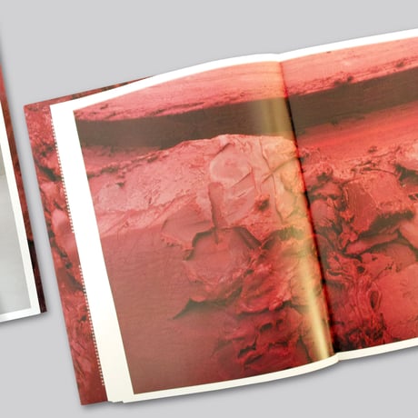 Anish Kapoor / My Red Homeland
