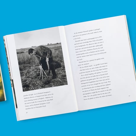 【T&H】Derek Jarman / Derek Jarman's Garden