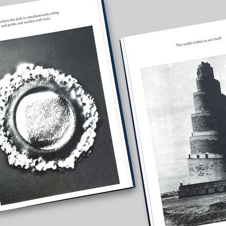 Kirstine Roepstorff / The Archive of Dark
