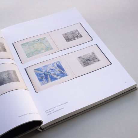 Hilma af Klint / The Blue Books