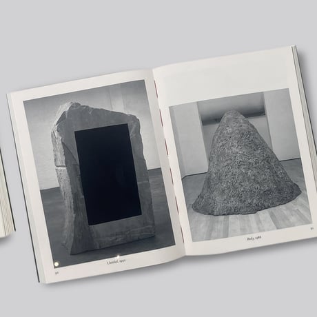 Anish Kapoor / Untrue Unreal