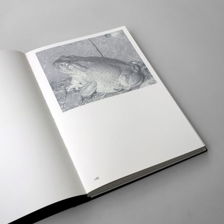 Giorgio di Noto / The Iceberg