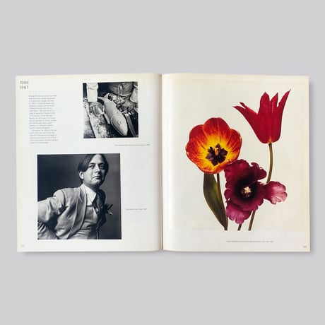 【古書】Irving Penn / Passage