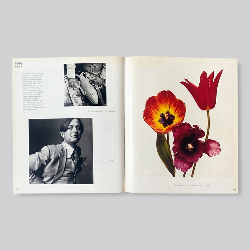 古書】Irving Penn / Passage | POST